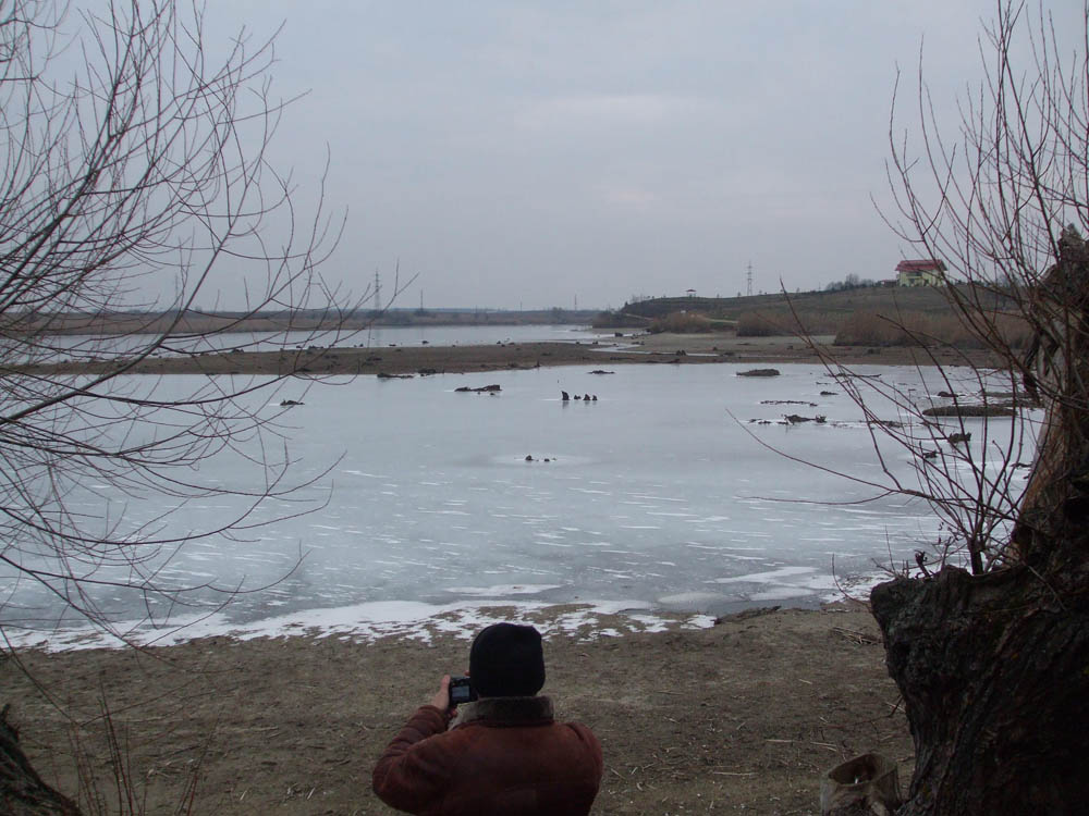 TANCABESTI SECAT - DSCF3442.jpg